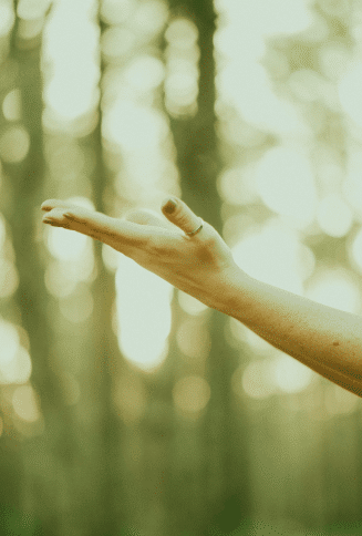 Intuition in my personal capacity