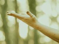 Intuition in my personal capacity (Live online)