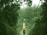 Akashic Navigator Advanced (Self Study Online with Mentoring)